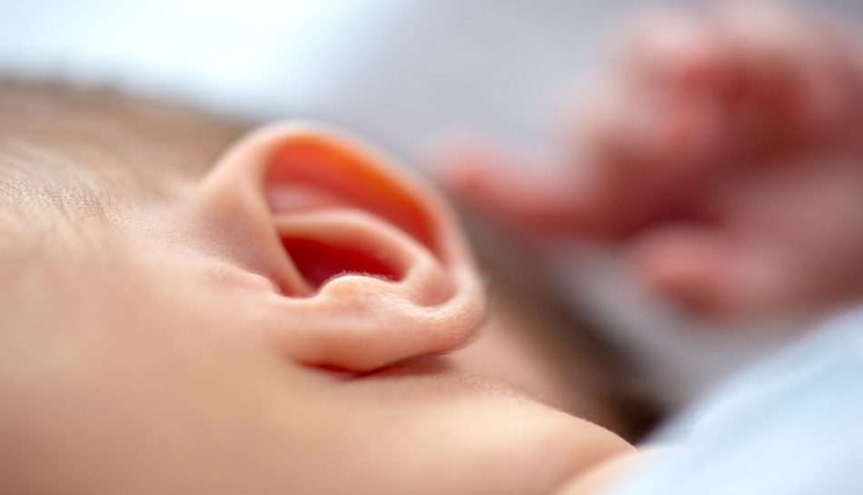 orecchio di neonato
